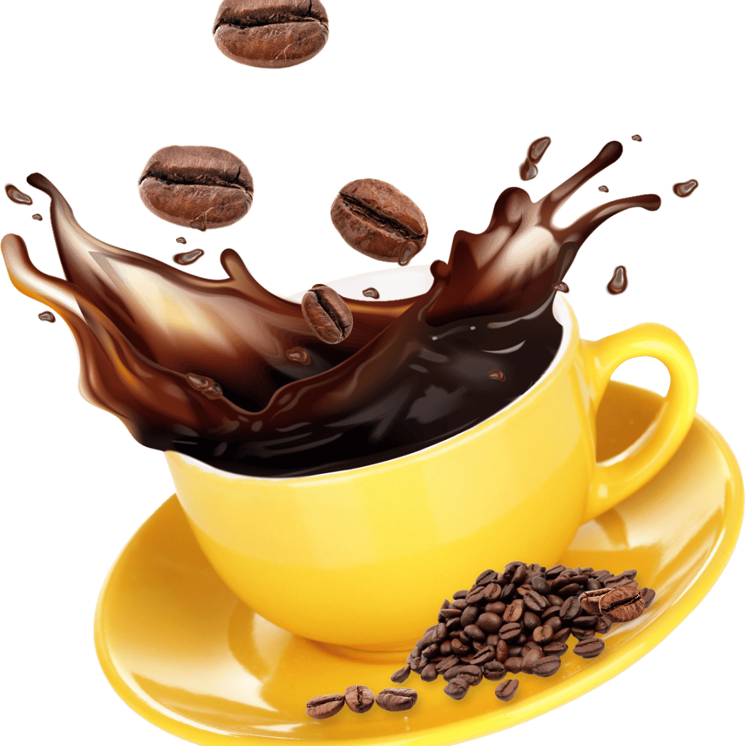 Untitled design (31)